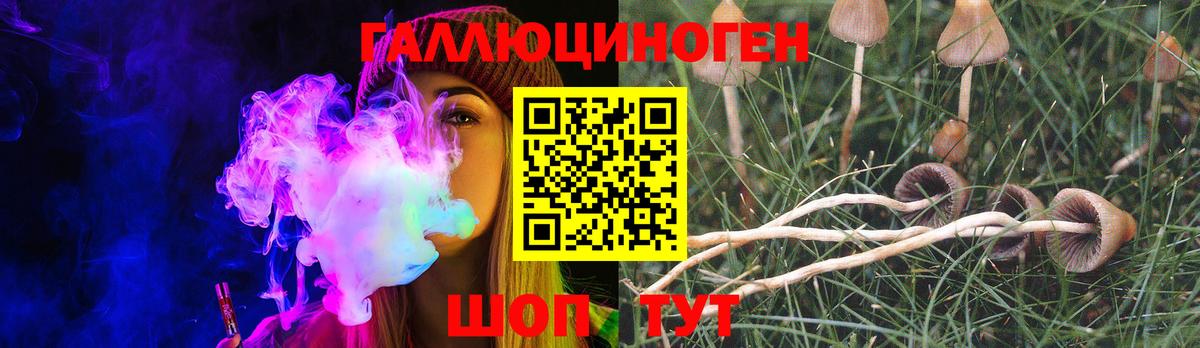 Галлюциногенные грибы Psilocybe  Галлюциногенные грибы GOLDEN TEACHER  Вход с VPN  Павлово 